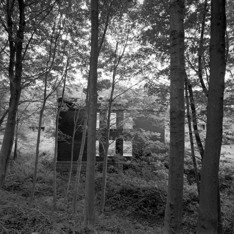 Peddocks island 2005 024