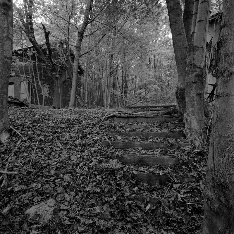 Peddocks island 2005 025