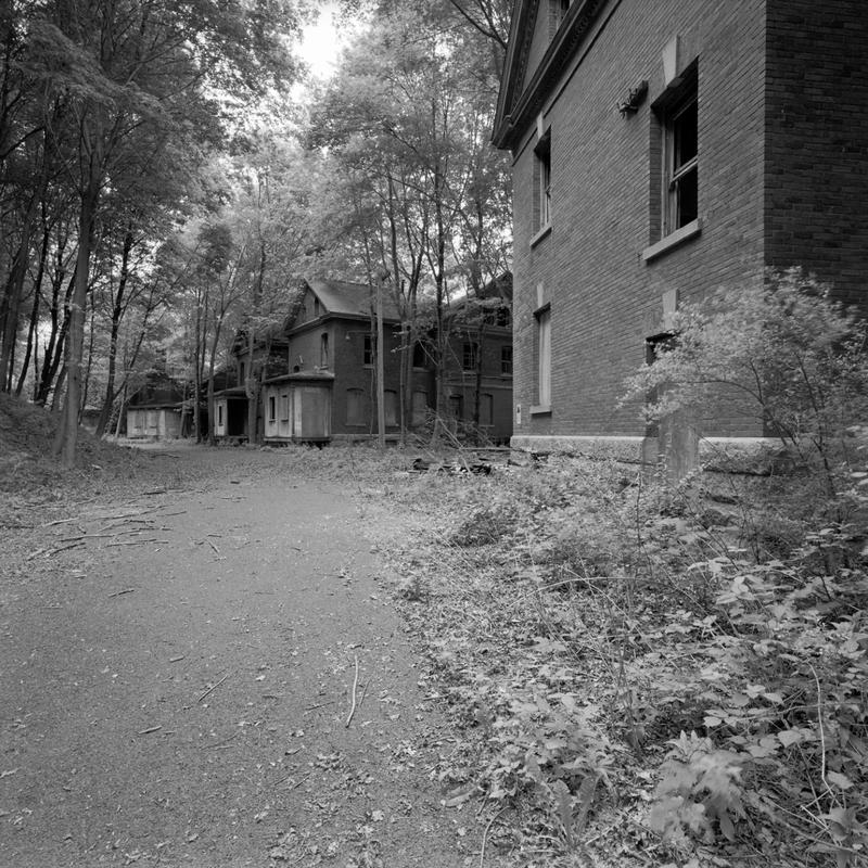 Peddocks island 2005 032