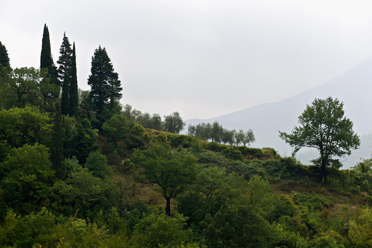 Ita5279 italy
