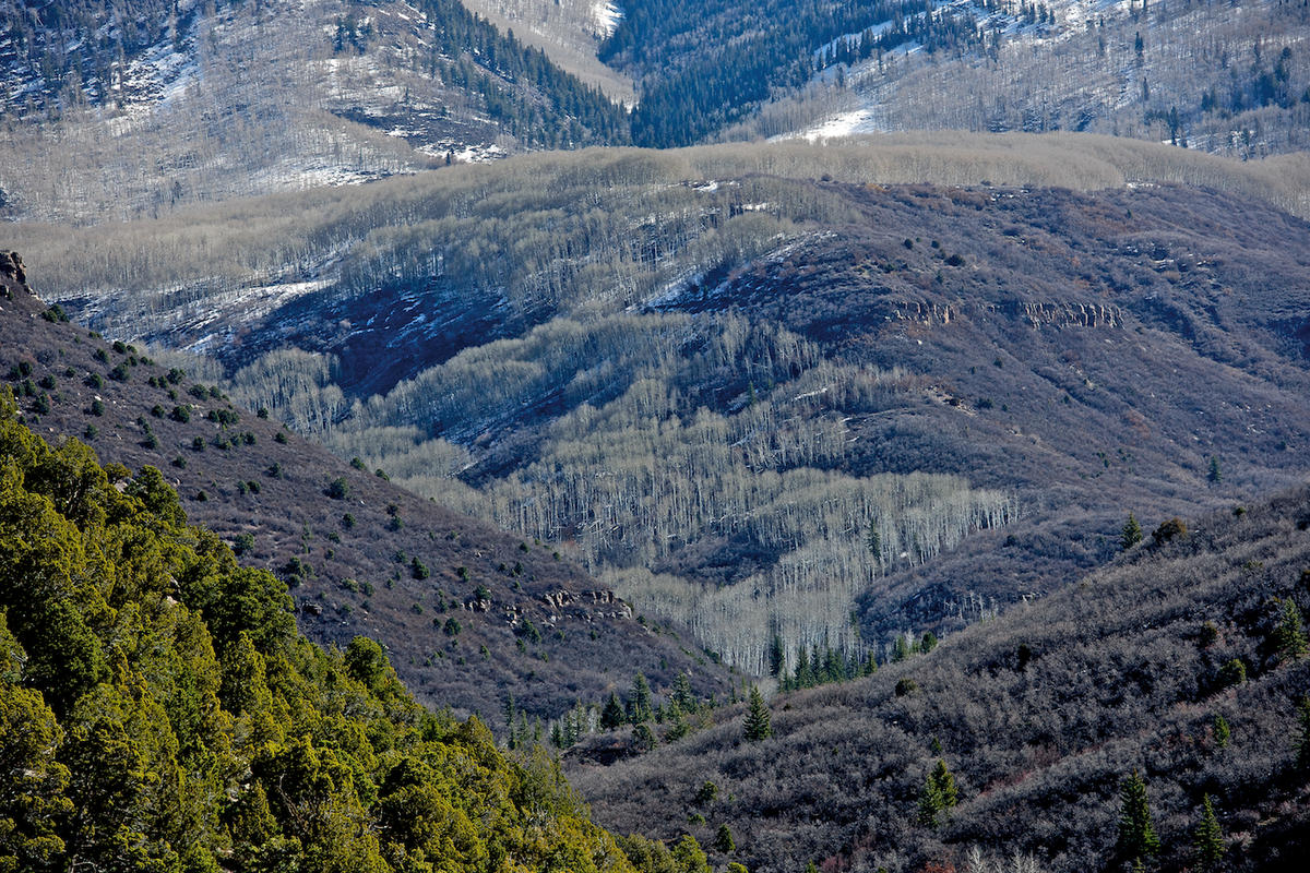 Spr0825 utah