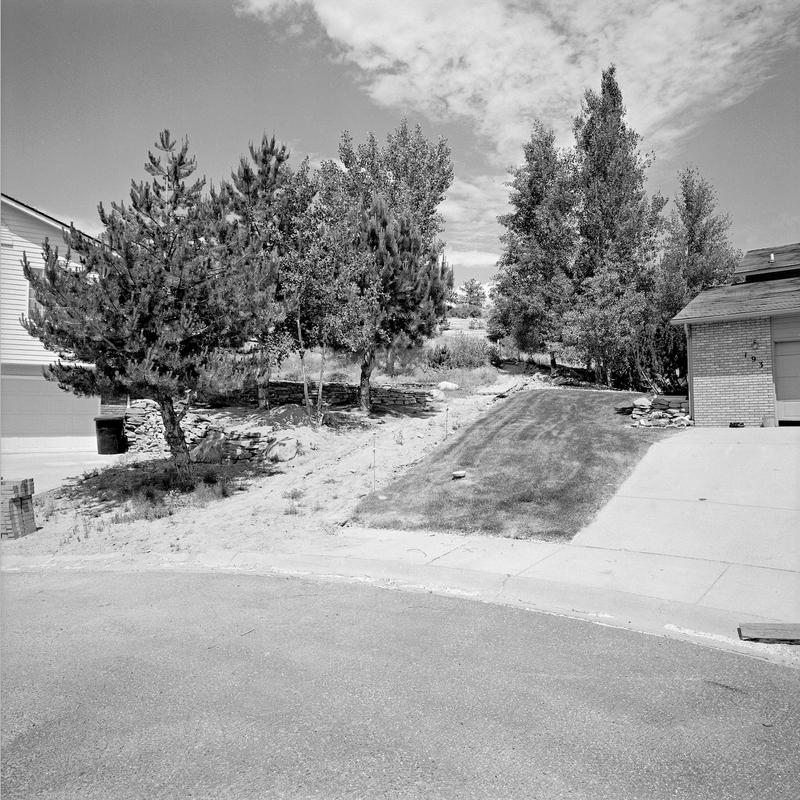 Strip 4 raw fr 2