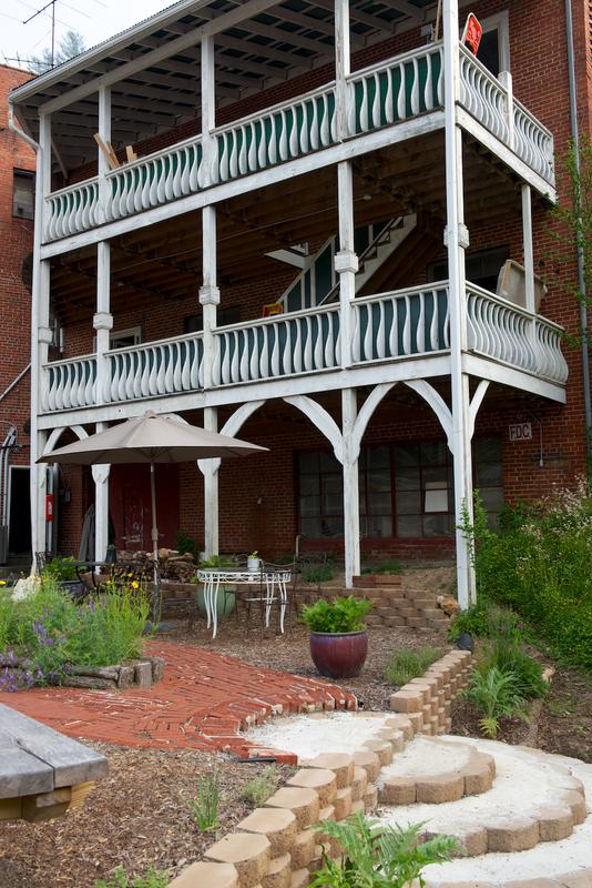 Spruce pine 2014 09