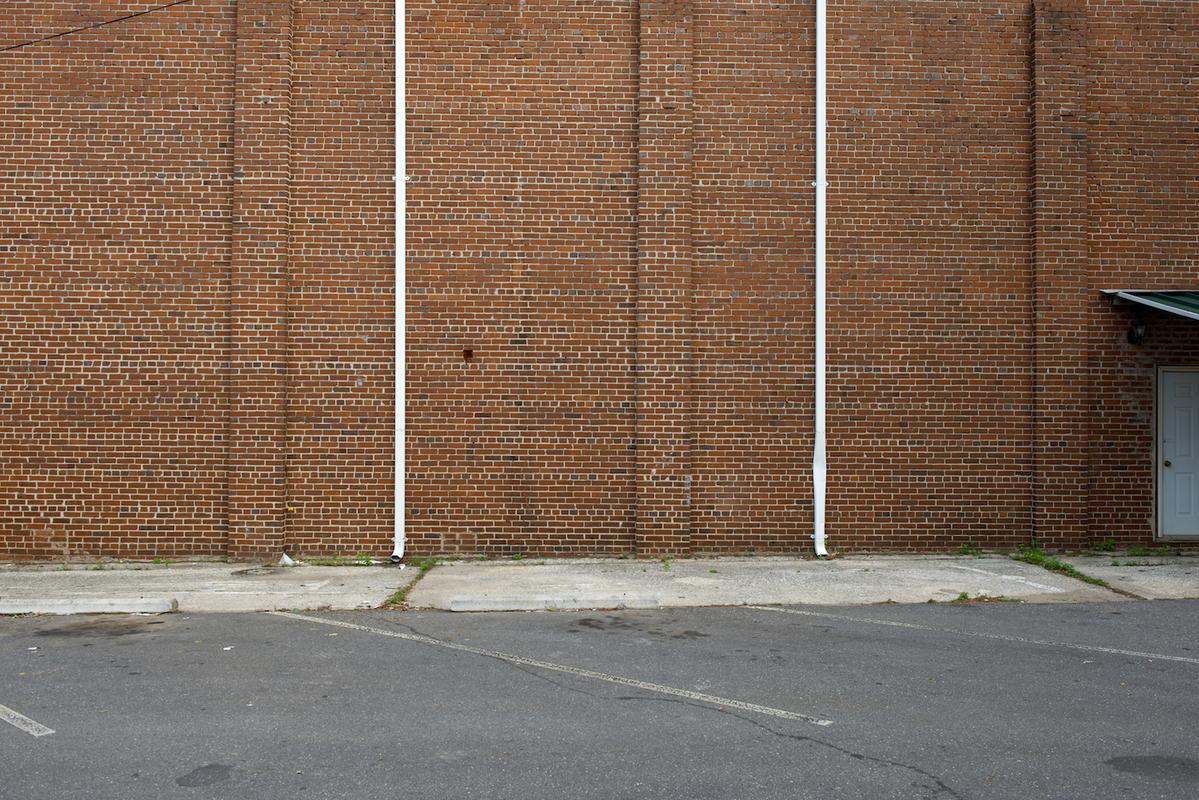 Spruce pine 2014 38