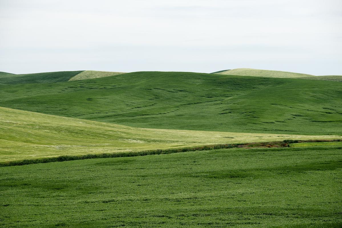 S143689