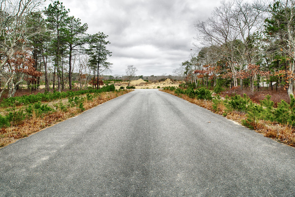 South woods farm 02
