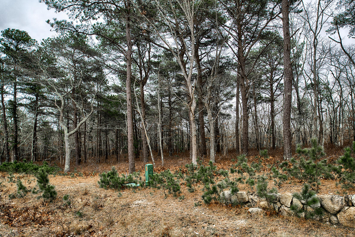 South woods farm 16