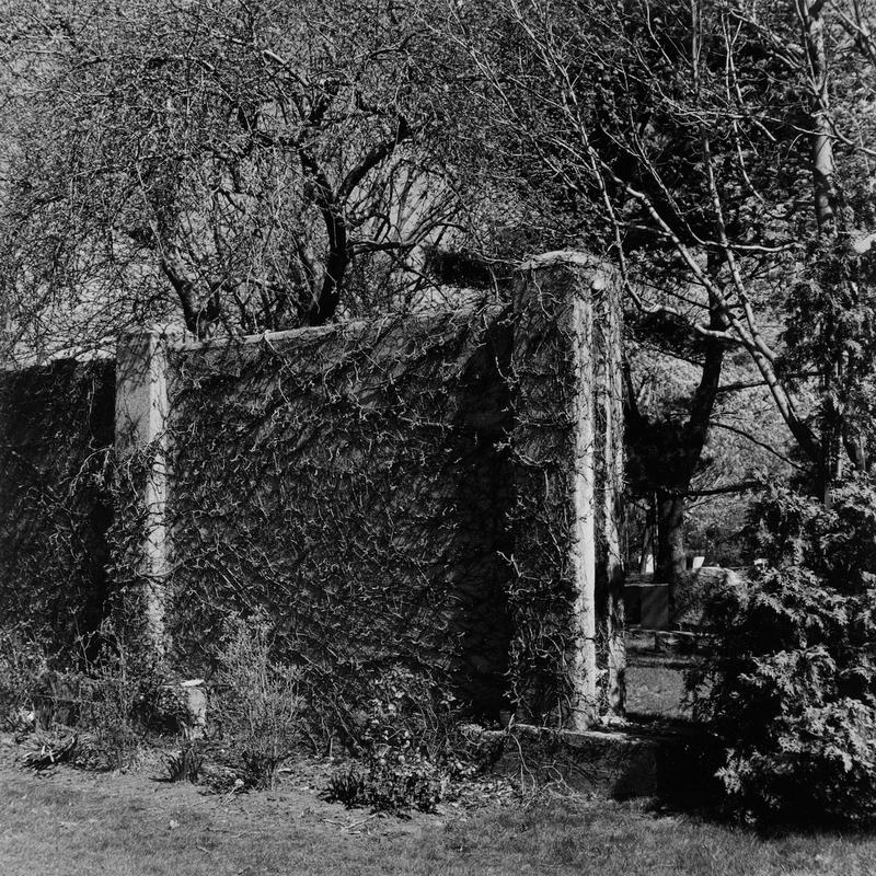 Fences and walls 05