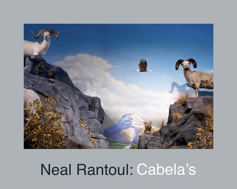 Cabellas rtp 1