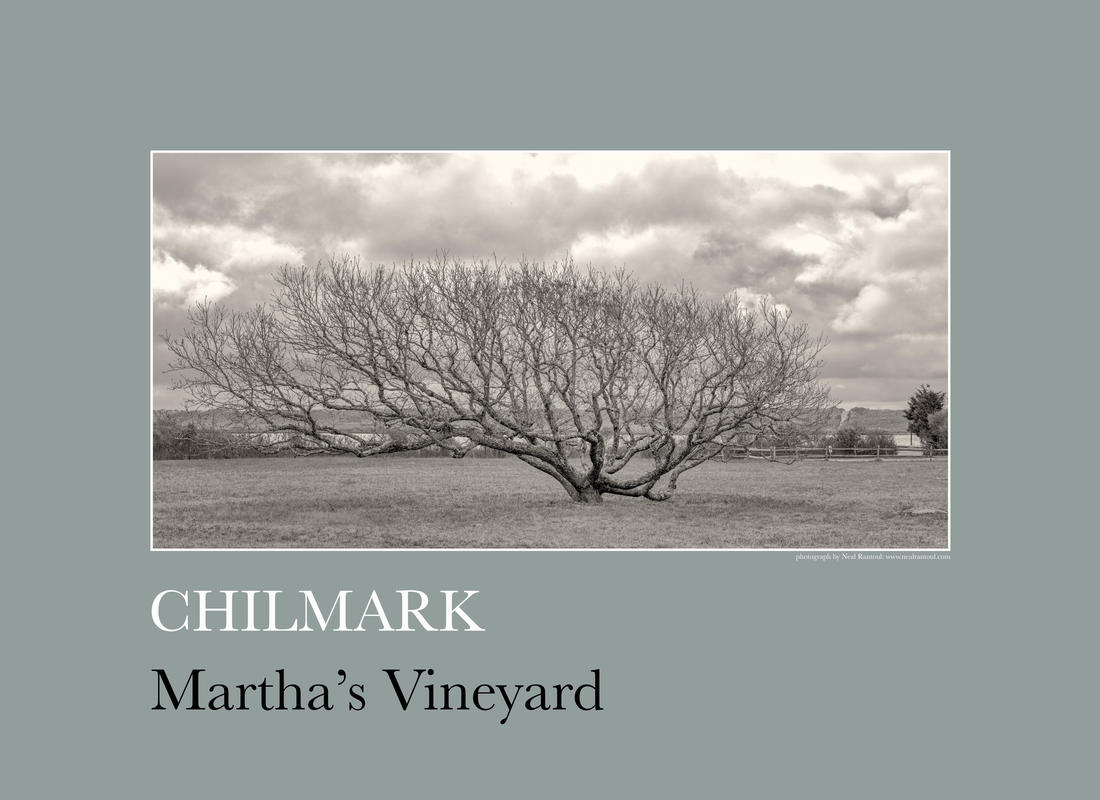 Chilmark pond rtp1