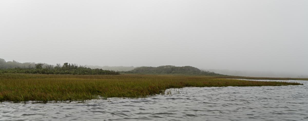 Dsc2768