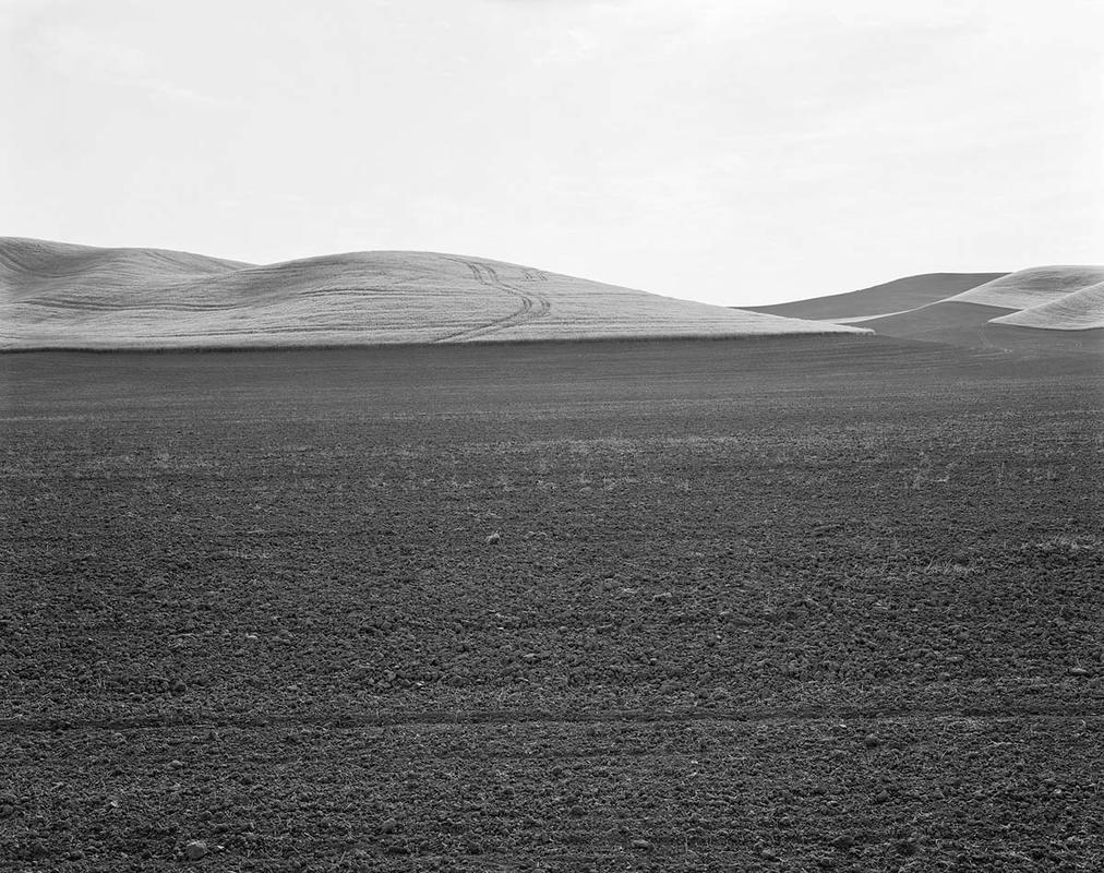 Boris field 3
