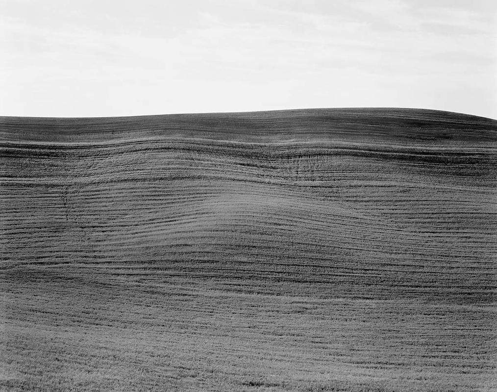 Boris field 6