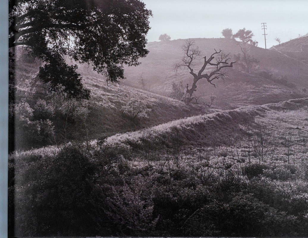 Dsc0007