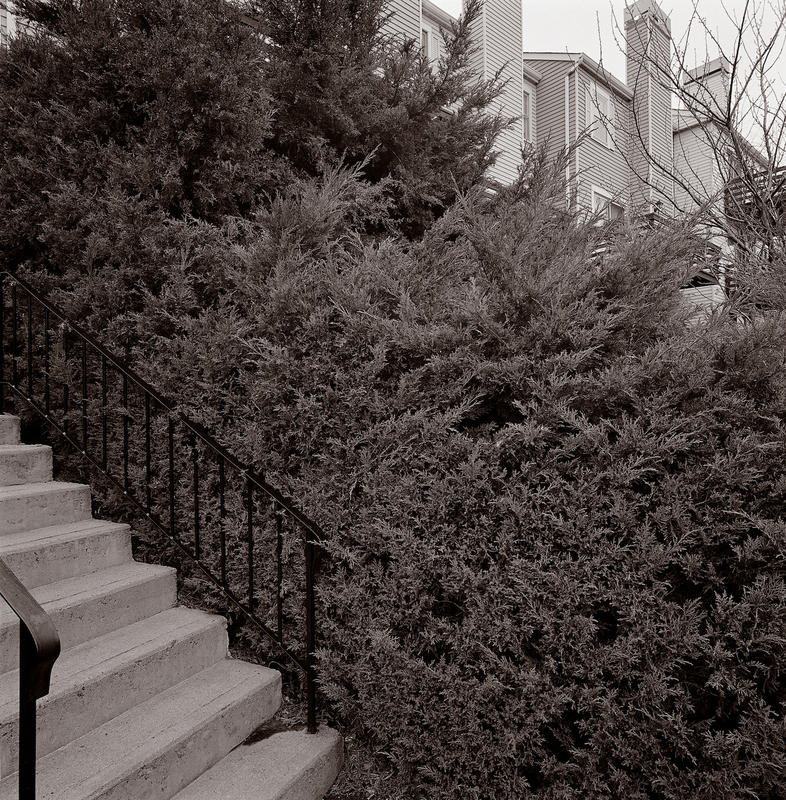 Westwood village 029