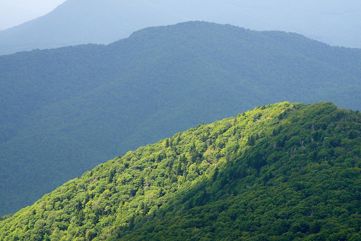 Penland 2012 17