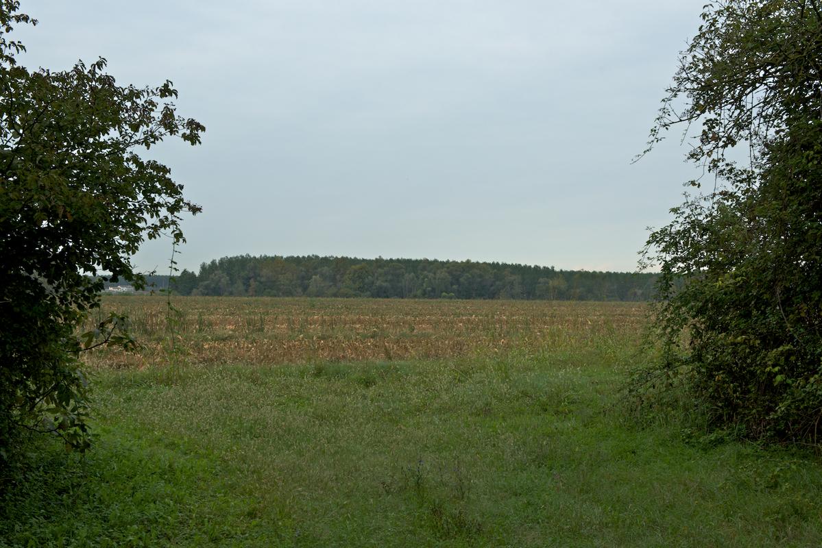 Rivalta italy 2012 11